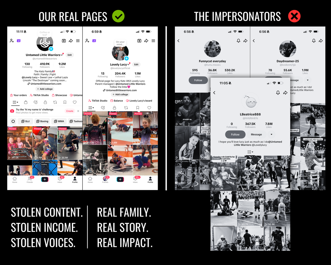 The Dark Side of Social Media for Small Creators: Copyright Theft, Impersonation & Burnout